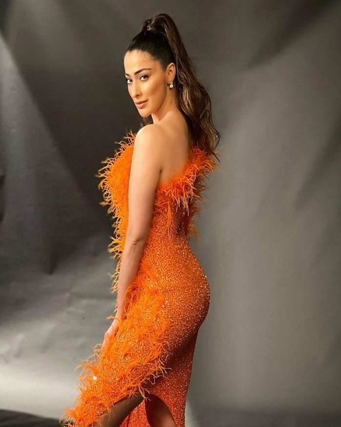 raai laxmi_teluguvox 4